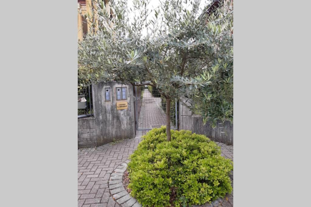 Il Torchio Rooftop Apartment With Wide Terrace 西尔米奥奈 外观 照片